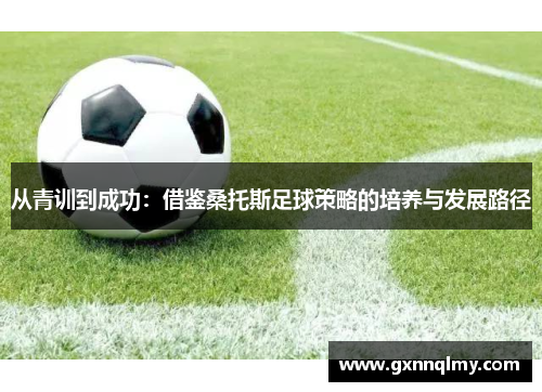从青训到成功：借鉴桑托斯足球策略的培养与发展路径
