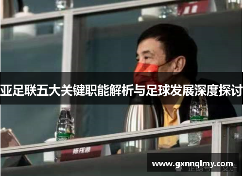 亚足联五大关键职能解析与足球发展深度探讨