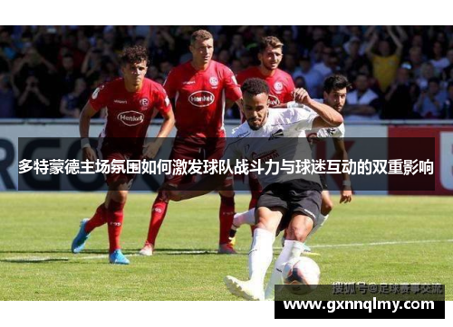多特蒙德主场氛围如何激发球队战斗力与球迷互动的双重影响