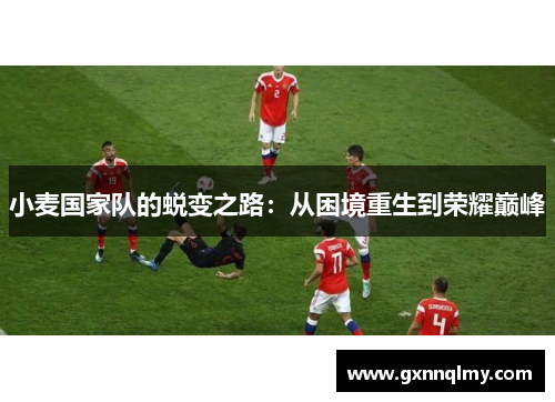 小麦国家队的蜕变之路：从困境重生到荣耀巅峰
