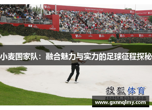 小麦国家队：融合魅力与实力的足球征程探秘